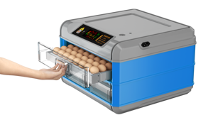 Lồng Ấp Nhỏ 64 Trứng Tự Động Hoàn Toàn Tốc Độ Nở Cao - Product Image 2