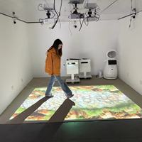 Équipement de parc d'attractions pour parents et enfants, jeu interactif de projection au sol, projecteur 5000 lumens