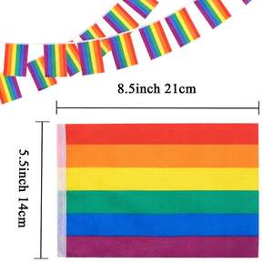 LGBT niềm tự hào Đồng Tính biểu ngữ cờ cầu vồng chuỗi <span class=keywords><strong>Bunting</strong></span> cờ cho lễ hội bên lễ kỷ niệm trang trí - Product Image 3