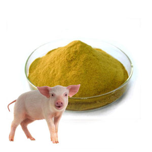 Alimentação animal Nutriente Natural A Granel cerveja animal gado aves domésticas animais animais cerveja fermento em pó - Product Image 3