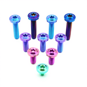 NICE T-101 <span class=keywords><strong>Titanium</strong></span> Legering Schroeven Moeren voor AUTO ATV UTV Motorfietsen Grote Kop Schijfkop Binnen Torx M4-M10 Op Maat - Product Image 5