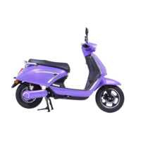 Vente en gros transfrontalière de vélos électriques, motos électriques pour adultes avec sièges allongés, options personnalisables