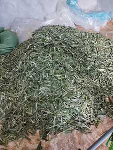 Feuilles de Pandanus séchées vertes, feuilles de pin tropical pour épices - Product Image 6