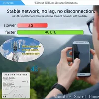 Tuya Smart 4G LTE Relais avec RF 433Mhz Smart GSM Switch APP Contrôle sans fil Fonctionne avec Alexa Alice Google Assistant