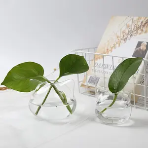 Wholesale Price Handblown Glass Terrarium Flower Vase