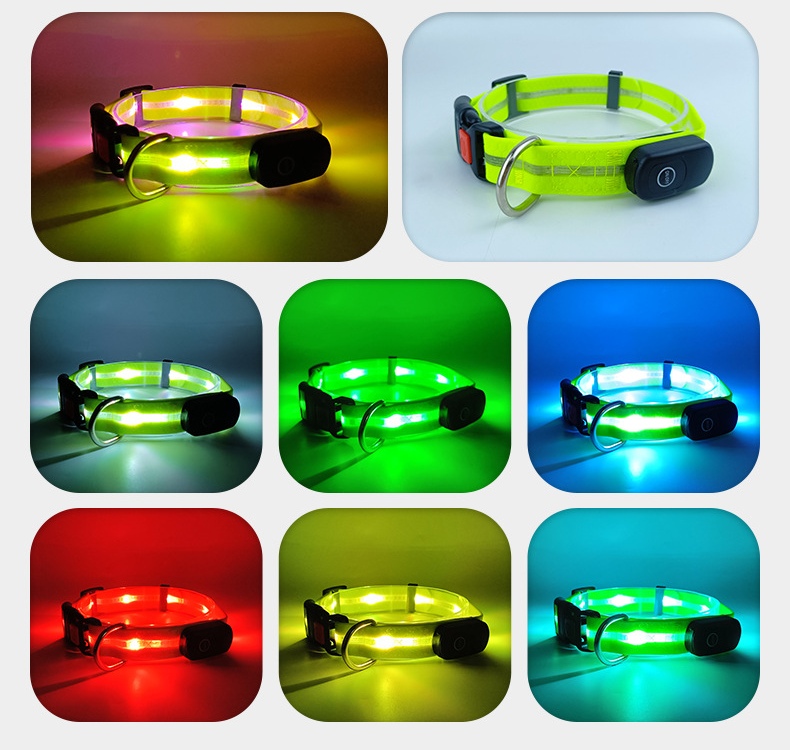 Cuello Amarillo Verdoso