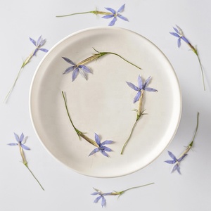 12 stelle pz/pacco floreale naturale <span class=keywords><strong>blu</strong></span> per resina arte artigianale cornice candela <span class=keywords><strong>e</strong></span> Reed diffusore vero fiore pressato - Product Image 4