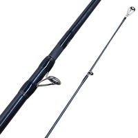 Canne à pêche Toray personnalisée à haute teneur en carbone, canne à surfcasting à 5 sections avec guide sic