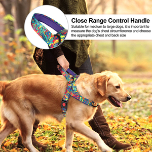 Arnés de Seguridad Antitirones <span class=keywords><strong>para</strong></span> Perros, de Nailon, Acolchado, <span class=keywords><strong>para</strong></span> Perros Medianos y Grandes, Tipo <span class=keywords><strong>Chaleco</strong></span>, Duradero y Ajustable - Product Image 5