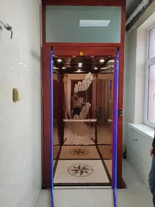 Premium Quality Elevator Net Celebrity Door Traction Driven Small Home Elevator