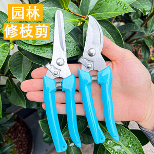 Pinheng Pruning Shears 10-20 Mm Bypass Manual Garden <b>Tool</b> For Branches Blue - Product Image 1