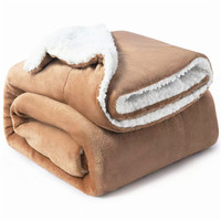 Échantillon gratuit, offre spéciale, couverture gaufrée personnalisée, couvertures de stade personnalisées, couverture polaire corail en peluche
