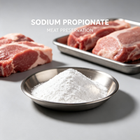 Propanoate de sodium E281 de qualité alimentaire à haute solubilité en poudre, conservateur pour viande transformée, produits de boulangerie, garnitures, fromages, casher, halal