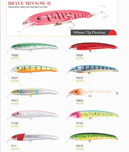 TAKEDO Hay Do Dự Chất Lượng Cao Mồi Câu Cá Minnow 160Mm 33G Nổi Leurre Minnow Minnow Lure Cứng Bait Top Nước lures