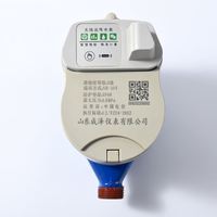 Medidor de Agua Remoto Inteligente IoT con SIM, Protección IP68, Personalización OEM, Alta Calidad