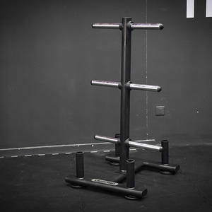 उच्च गुणवत्ता वाले जिम उपकरण बहु-कार्यात्मक वजन प्लेट रैक भार उठाने प्लेट रैक बारबेल बार रैक बार्बेल बार पेड़ - Product Image 6