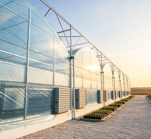 Serre Commerciale Multi-Span à Film Plastique Haute Efficacité pour l'Agriculture, Serre Modulaire à Structure en Acier pour la Culture - Product Image 1