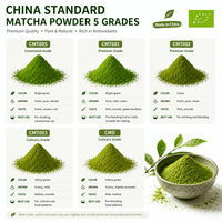 Thé vert matcha de qualité cérémonielle standard GB pour cérémonie du thé, vente en gros, OEM, ODM, en vrac, MOQ 10 kg