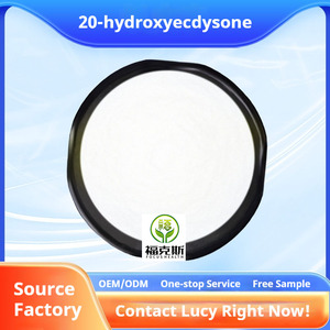 Polvo de 20-Hidroxiecdisona de Alta Pureza, Extracto de Cyanotis Arachnoidea para Nutrición Deportiva y <span class=keywords><strong>Alimentos</strong></span> Funcionales - Product Image 2