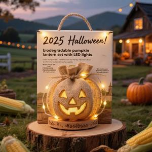 Lanterne Citrouille d'Halloween Lumineuse Portable pour Enfants – Seau pour Friandises, Petit Cadeau, Prix Usine, Vente Chaude - Product Image 3