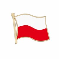 Set de 41 insignias de bandera de países, broche de metal esmaltado, colección de insignias de recuerdo del Día Nacional