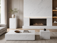 Dalles de marbre Bianco Aristonia Venato en pierre naturelle pour comptoirs, murs décoratifs et projets intérieurs sur mesure