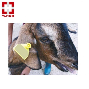 Étiquette RFID UHF longue portée 860-960 MHz pour bovins, caprins, vaches - Vanch VT-100A Mini PVC étanche personnalisable jaune pour animaux de ferme - Product Image 3