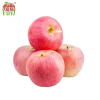 Rode Shandong Apple Fruit Prijs/Sweet Apple Fruit Verse/Vruchten Apple