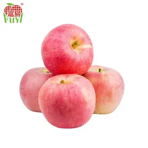 สีแดง Shandong Apple ผลไม้ราคา/Sweet Apple ผลไม้สด/ผลไม้ Apple
