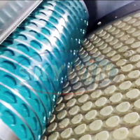 Nouvelle ligne de production de biscuits moelleux, machine à fabriquer des biscuits, mouleuse rotative