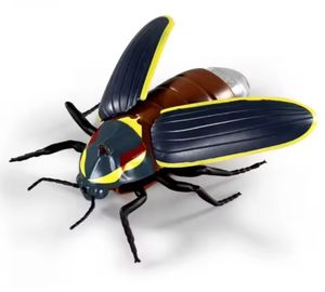 EPT vente en gros Rc <span class=keywords><strong>luciole</strong></span> jouets éducatifs insectes éclairage ver luisant RC animaux scarabée jouets - Product Image 4