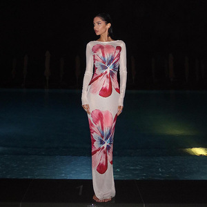 Robe longue imprimée en maille pour femme, col rond, manches longues, moulante, imprimé floral, robe de soirée, taille naturelle, jupe longue, translucide - Product Image 1