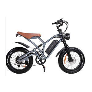 Bicicleta Eléctrica Plegable C077 REVIVAL Dynem con Doble Freno de Disco, Batería de Litio de Alta Potencia, Amortiguación y Cuadro de Acero para Ciudad - Product Image 1