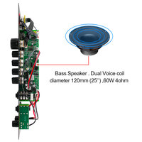 VIRE 6-18 Inch Trolley Speaker Module Digital HiFi Bass Power Amp 60W Mono Stereo Bluetooth Audio Amplifier Board