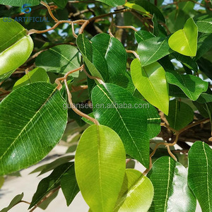 Cây Nhân Tạo Trang Trí Trong Nhà Ngoài Trời Nhà Sản Xuất Cây Nhân Tạo Ficus Banyan - Product Image 6