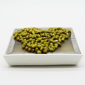 Plato de Cerámica para Germinar, Cuadrado, para Brotes de Frijol Verde y Amarillo, Ecológico y Apto para Familias - Product Image 2