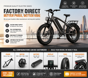 Vente directe d'usine à prix réduit : Vélo Cruiser Freedom-L pour adulte avec moteur central 500W 48V et freins à disque hydrauliques - Product Image 6