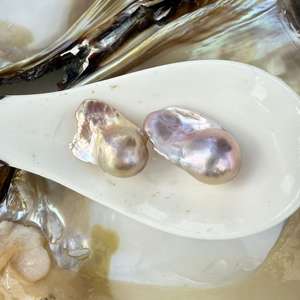 Acqua dolce coltivata di grandi dimensioni colore viola singolo due barocche <span class=keywords><strong>ostriche</strong></span> vongole con vaccino imballaggio per Live Open - Product Image 4