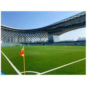 <span class=keywords><strong>AVG</strong></span> migliore qualità 7-a-side campo da calcio all'aperto con Futsal calcio professionistico erba di calcio per la formazione - Product Image 4