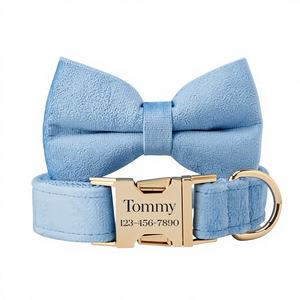 Pajarita de plomo, Skyblue Veet Girl Dog con nombre grabado Hebilla de metal, Collar de cachorro y plomo - Product Image 1