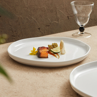Assiettes à dîner rondes blanches mates en porcelaine jetables écologiques personnalisées pour l'utilisation dans les hôtels et les restaurants