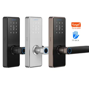 Senleean Waterproof App Remote Control Electric Keyless Biometric Fingerprint Outdoor Mini Gate Tuya Lock Set gate locks