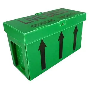 Bijenteelt Corfluit Plastic Nuc Box Bee Box Correx Bijenkorf