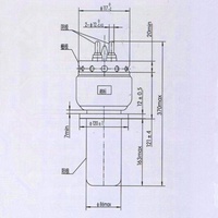 Soupape de refroidissement par eau à radiofréquence 31.5KW FU-307S, amplificateur de vide de puissance haute fréquence FU-307S de soupape de triode électronique