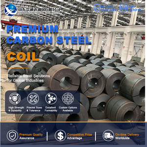 เหล็กม้วนคาร์บอน SS400 S355JR รีดเย็น หนา 10 มม. ขนาด 1219 มม. มาตรฐาน ASTM A1011 สำหรับผลิตท่อ - Product Image 1