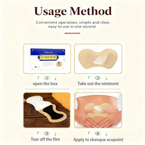 แผ่นแปะปัสสาวะรั่วซึมสำหรับผู้หญิง2025ยาแก้ปัสสาวะสูตรสมุนไพร - Product Image 3