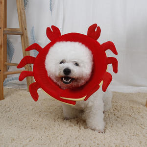 Fabricante de nuevo diseño lindo <span class=keywords><strong>Elizabeth</strong></span> <span class=keywords><strong>Collar</strong></span> recuperación <span class=keywords><strong>collar</strong></span> E herida protección <span class=keywords><strong>Collar</strong></span> para perros y gatos - Product Image 2