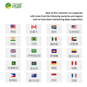 Huiles essentielles <span class=keywords><strong>de</strong></span> parfum blanches, pour parfum <span class=keywords><strong>de</strong></span> <span class=keywords><strong>marque</strong></span>, soins <span class=keywords><strong>de</strong></span> voiture, désodorisant d'intérieur <span class=keywords><strong>de</strong></span> voiture - Product Image 5