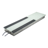 Panel berubah warna lantai dansa panggung cahaya LED 100*30CM untuk lampu bata sinkronisasi pencahayaan panggung lanskap