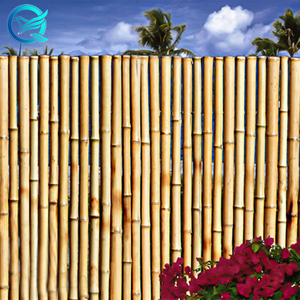 Hàng rào tre chia và hàng rào tre Trắng - Product Image 4